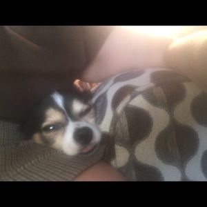 Meet your Posher, Angie